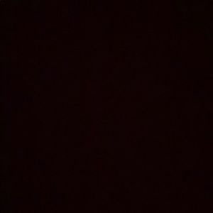 Meet your Posher, Jacqueline